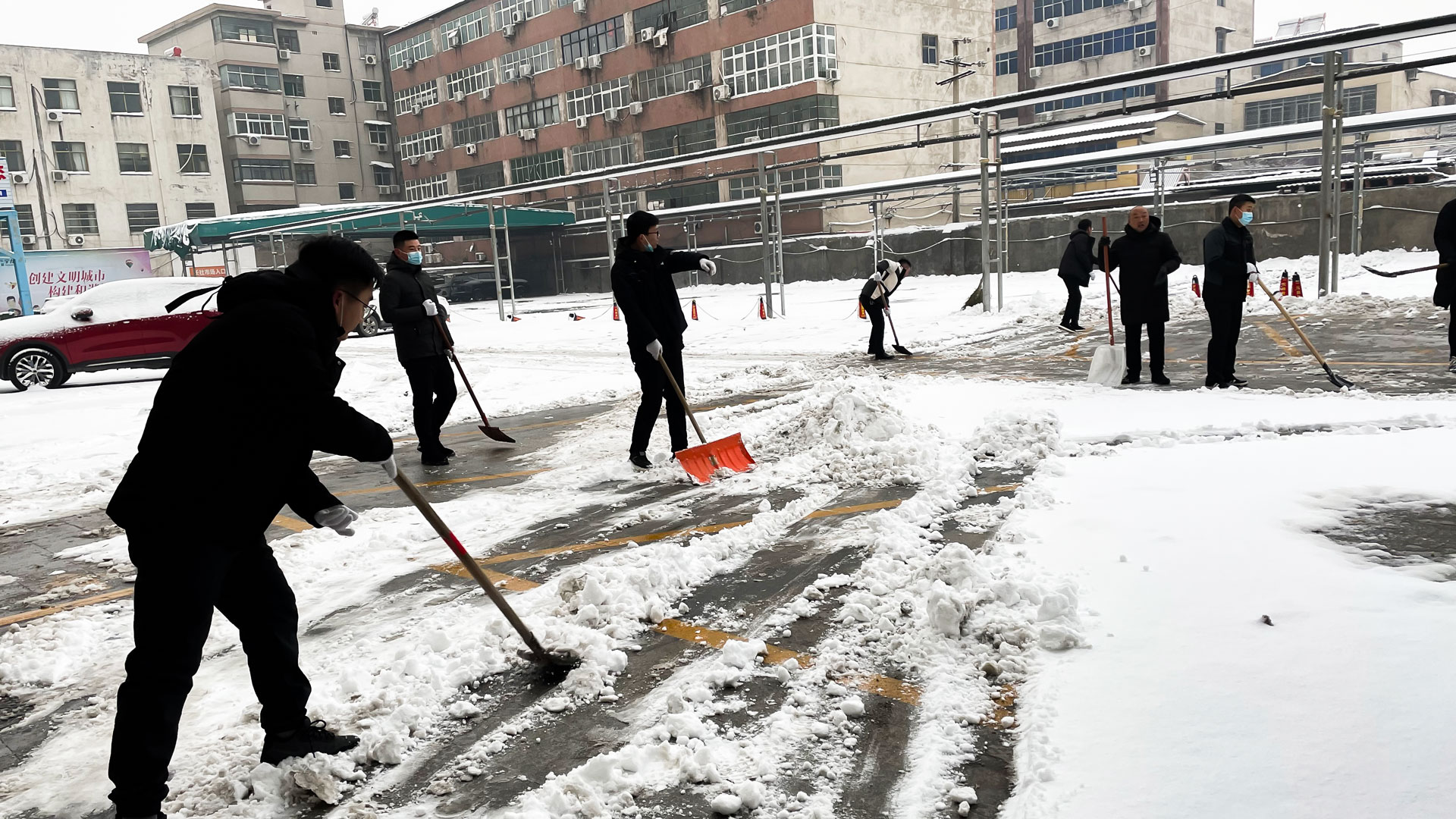 不畏嚴(yán)寒除積雪-(1).jpg